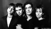 Elastica