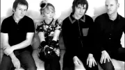The Primitives