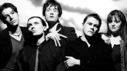Pulp