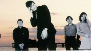Pulp