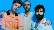 Foals