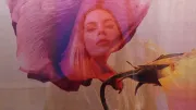 I Break Horses