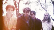 The Vaccines