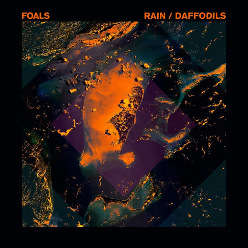 Rain Daffodils
