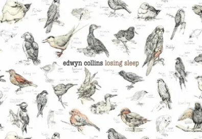 Novo single de Edwyn Collins traz participação do The Drums