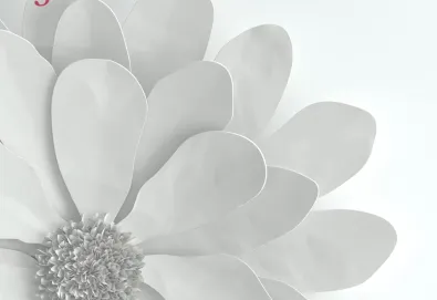 Be Opened by the Wonderful