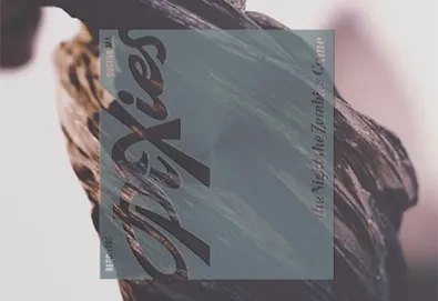 The Night the Zombies Came