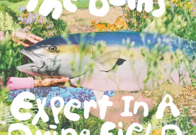 Expert in a Dying Field