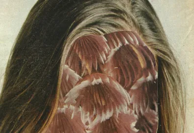 Sem Bênção / Sem Crença