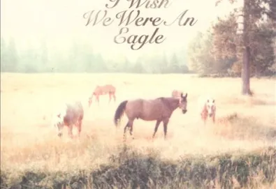 Sometimes I Wish We Were an Eagle