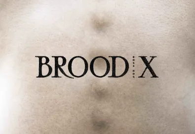 Brood X