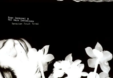 Bavarian Fruit Bread