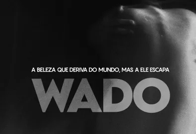 A Beleza Que Deriva do Mundo, Mas a Ele Escapa