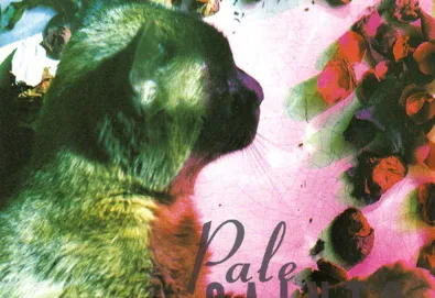 The Comforts of Madness