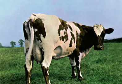 Atom Heart Mother