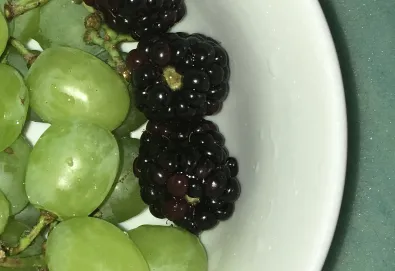 How Many Times Have You Driven By