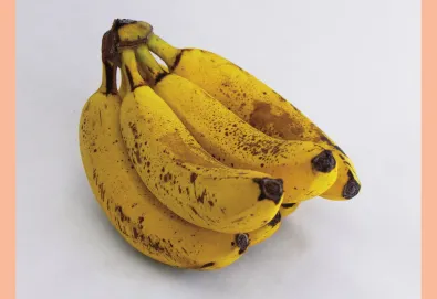 The Sound of Yourself 