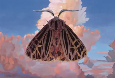 Moth