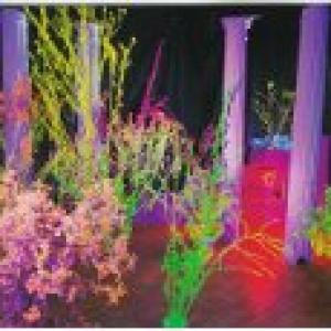 Warehouse: Songs and Stories