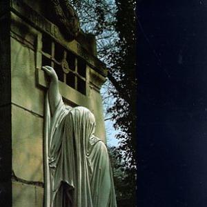 Within the Realm of a Dying Sun