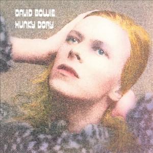 Hunky Dory