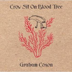 Crow Sit on Blood Tree