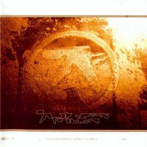 Selected Ambient Works Volume II