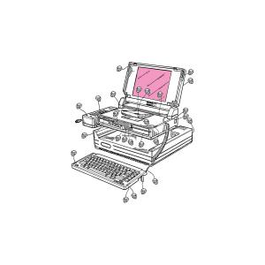 Caterpillar Centipede