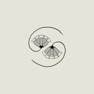 G_d's Pee at State's End!